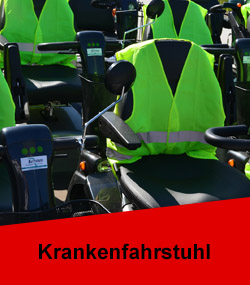 Versicherung Roller Online